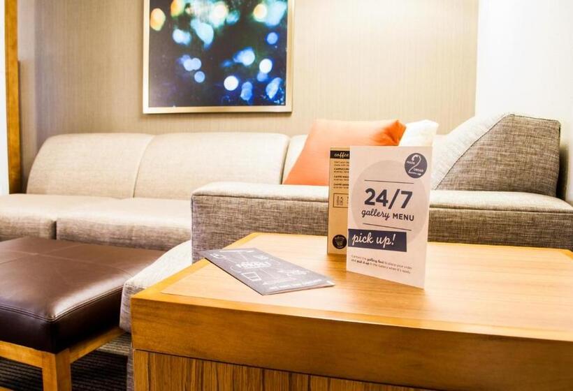 Номер Стандарт Двуспальная Кровать, Hyatt Place Blacksburg/university