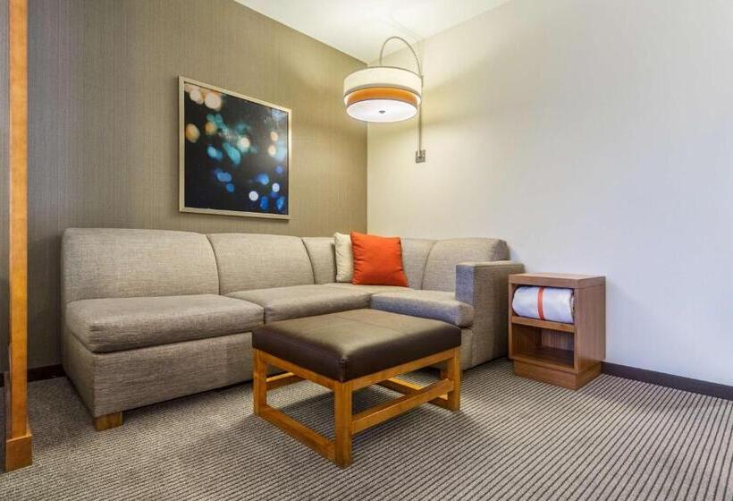 Стандартный Номер Кровать Кинг, Hyatt Place Blacksburg/university
