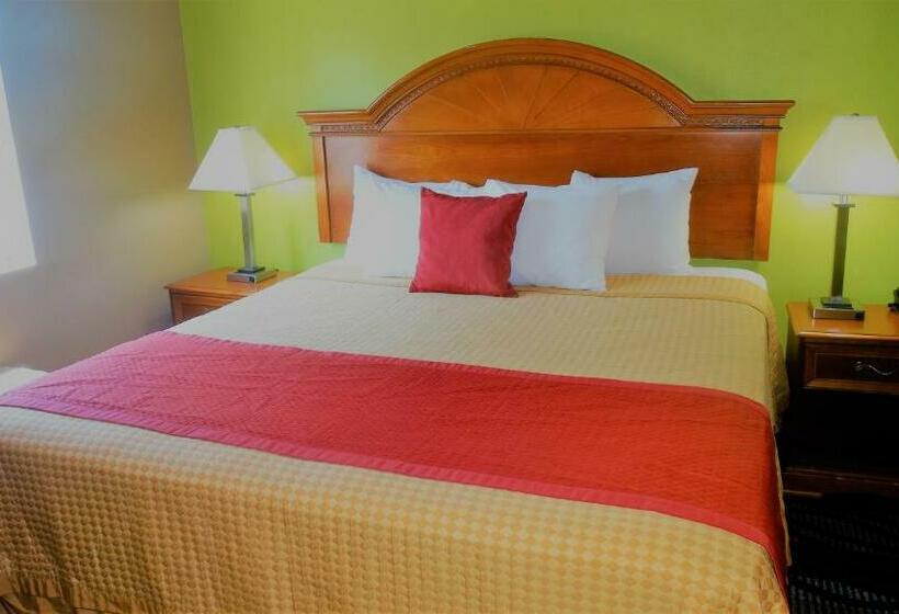 带大床的标准间, Oak Tree Inn & Suites