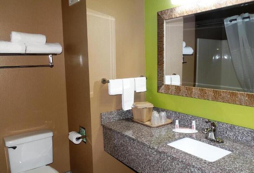 Номер Стандарт Кровать Кинг Адаптированный для Инвалидов, Oak Tree Inn & Suites