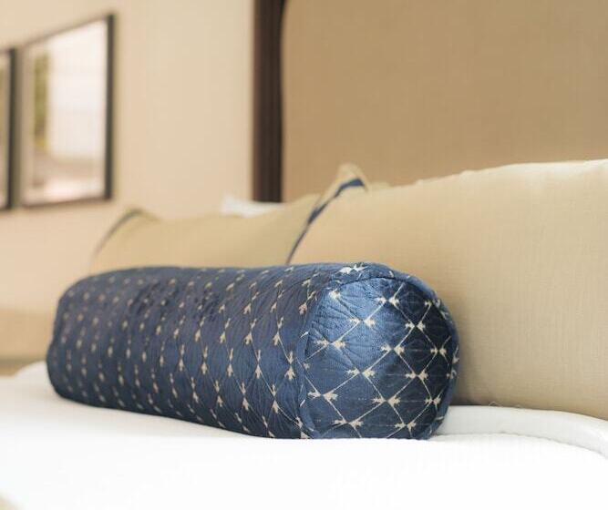 اتاق دلوکس مخصوص معلولین, Nopsi Hotel New Orleans