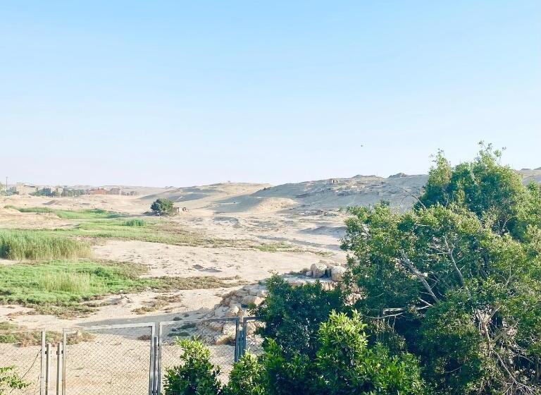 اتاق استاندارد, Tut & Pyramid View