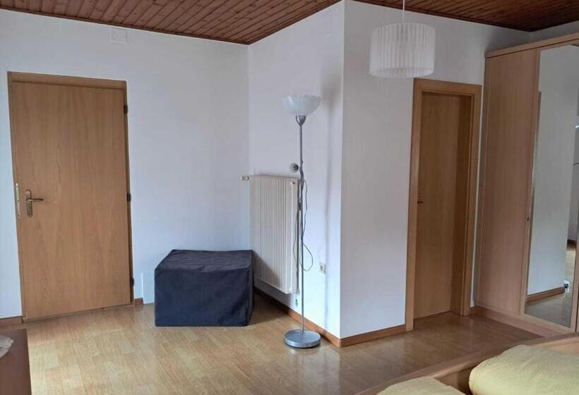 آپارتمان سوپریور 1 خوابه, Weberhof Toblach