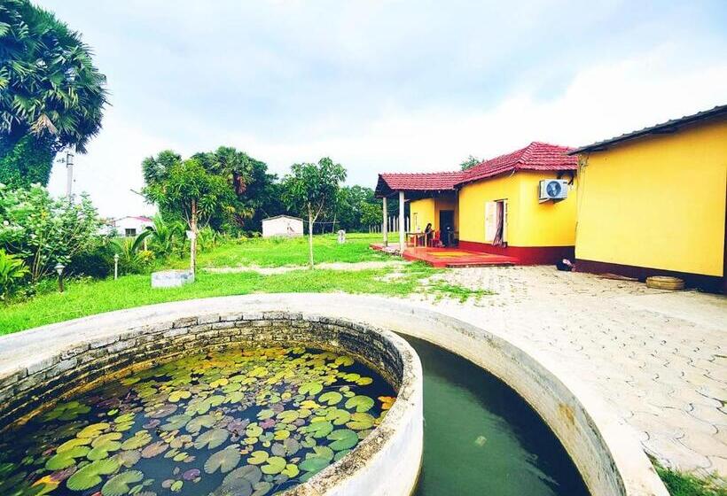 스탠다드 룸 가든 전망, Kaia   Farm Stay & Garden Cafe   Free Fishing