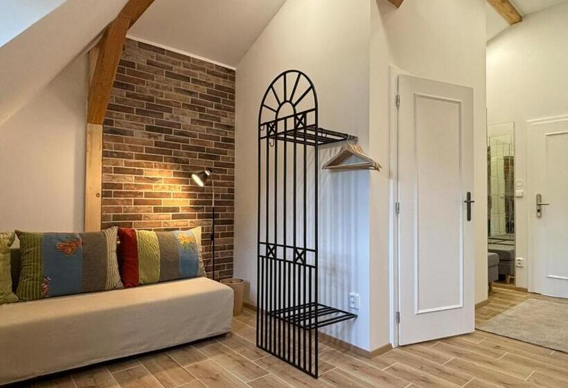 اتاق استاندارد, Boutique Hotel Barvirna