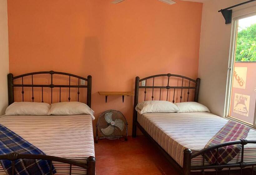 Economy Quadruple Room, Anamaya Hostal
