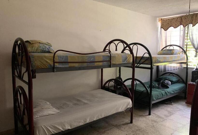 ルームシェアのワンベッド, Hostal Cumbres De El Salvador Escalón