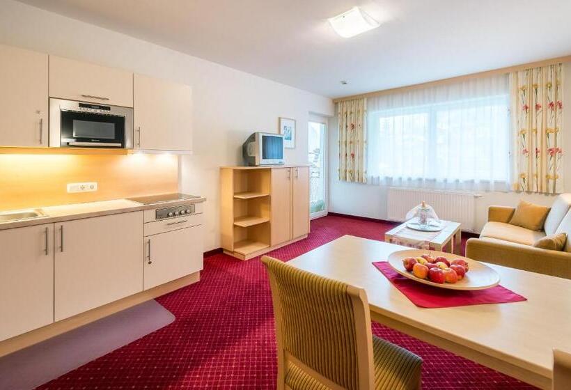 آپارتمان 1 خوابه با چشم‌انداز, Aparthotel Almrösl Im Großarltal