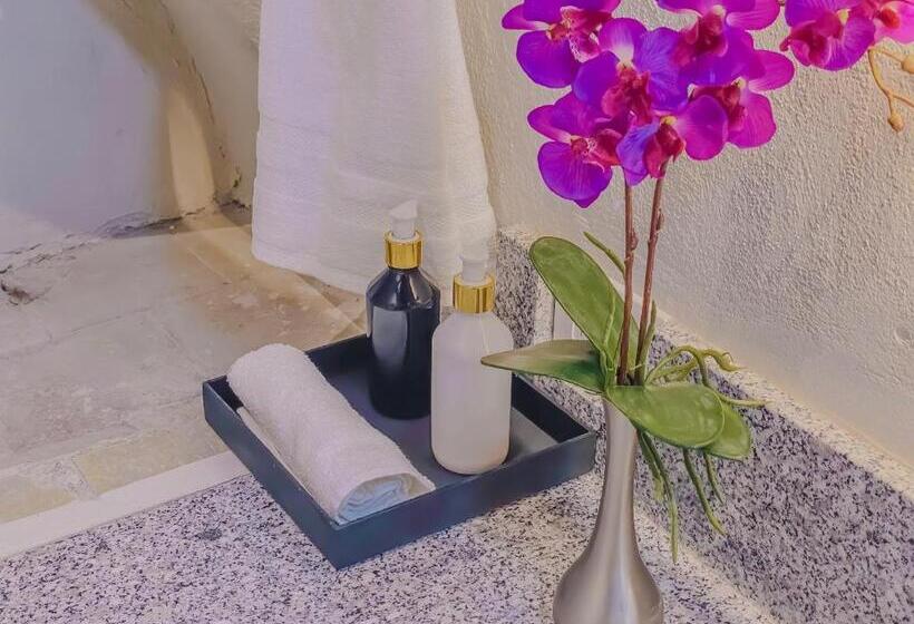 اتاق لوکس, Casa Sta Ines