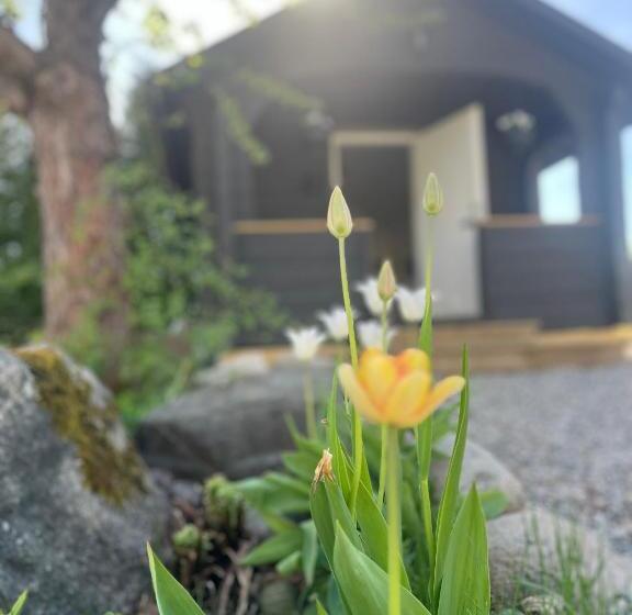 スタンダードバンガロー, Smedjebackens Pensionat