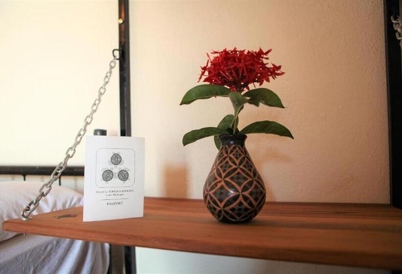 이코노미 룸, Hostal La Tortuga Booluda