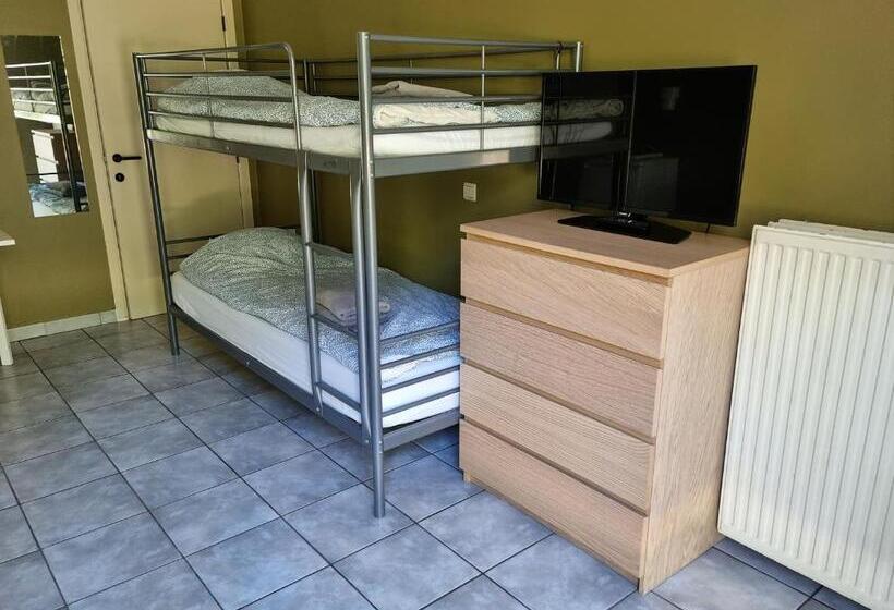 Студия Стандарт, Logies Waasland