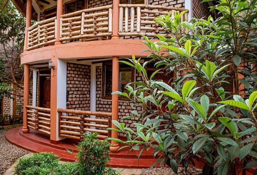 اتاق اکونومی, Elite Backpackers Services