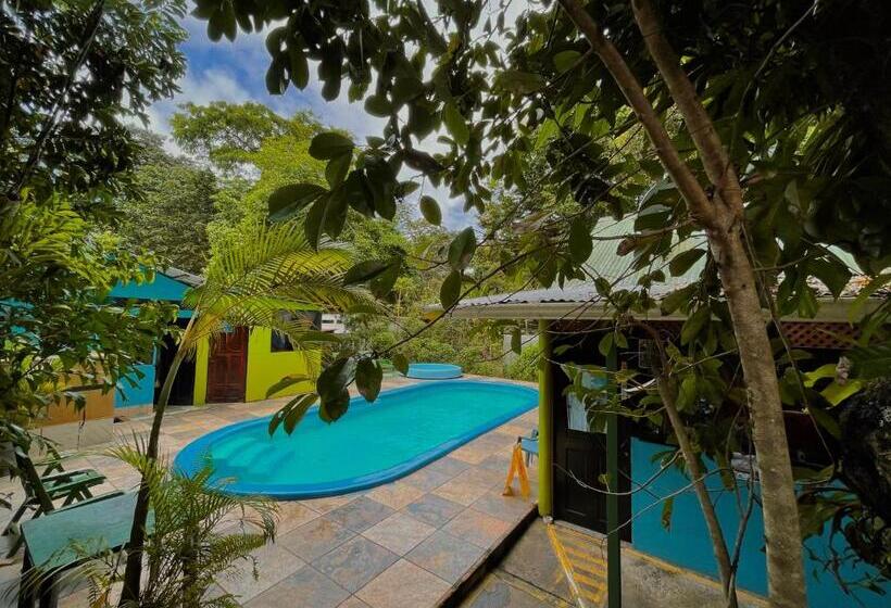 Номер Стандарт Индивидуальный, Los Amigos Jungle Hotel Tortuguero
