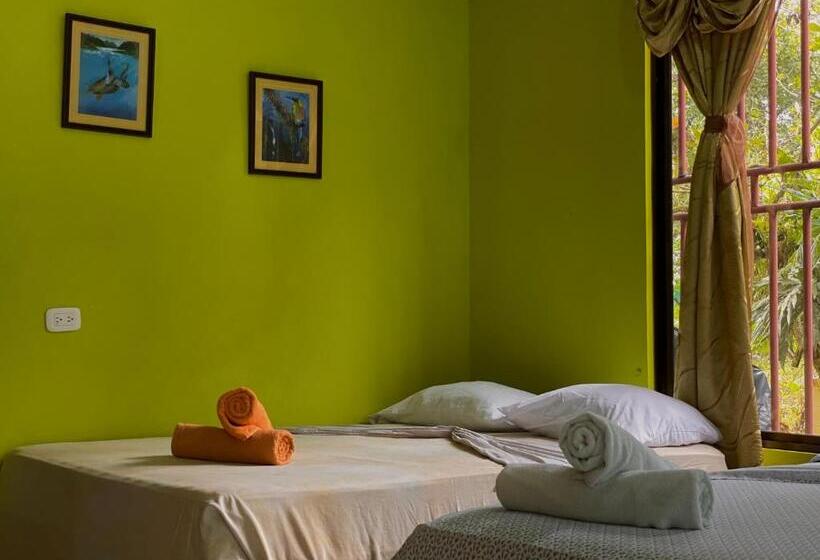 Четырехместный Номер Стандарт, Los Amigos Jungle Hotel Tortuguero