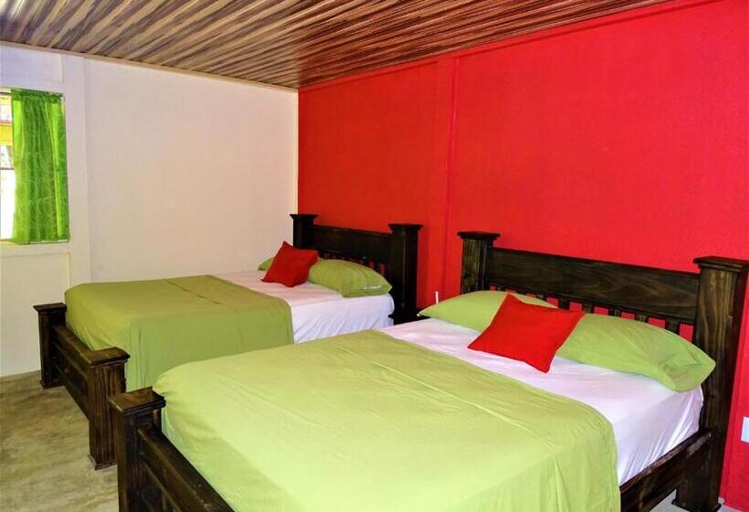 Семейный Номер Вид на Сад, Hostel Osa Tucan Drake