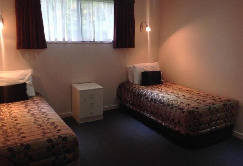 Апартаменты Superior 1 Спальня, Central Park Motor Inn