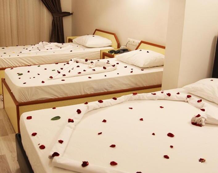 اتاق استاندارد سه نفره, Dostlar