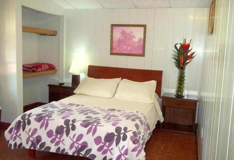 스탠다드 룸, Cabañas Las Bifloras