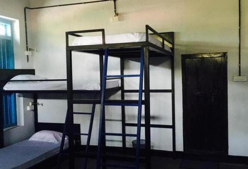 Cama em Quarto Compartilhado, Gostops Alleppey