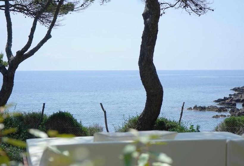 Люкс Повышенной Комфортности, Pleta De Mar, Grand Luxury Hotel By Nature   Adults Only