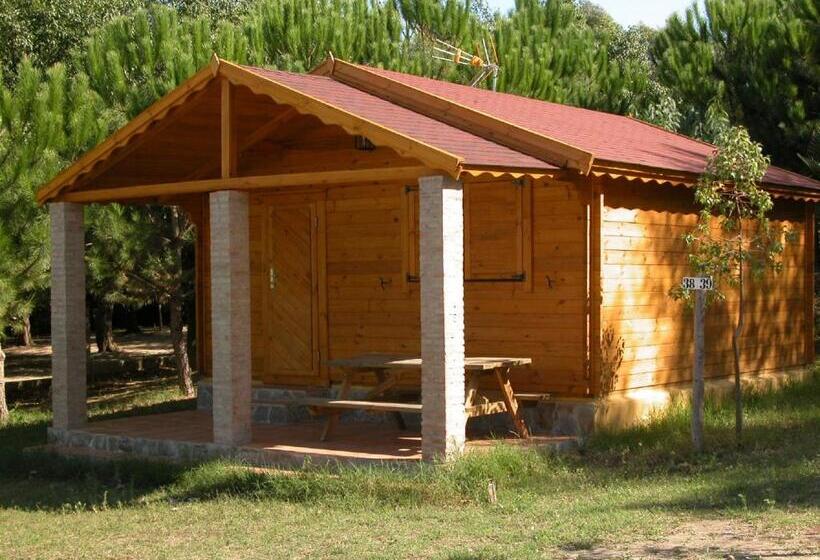 バンガローの２ベッドスタンダードルーム, Bungalows Y Glamping Medina Sidonia