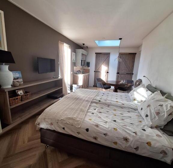 Студия Стандарт, Studio Augustinus