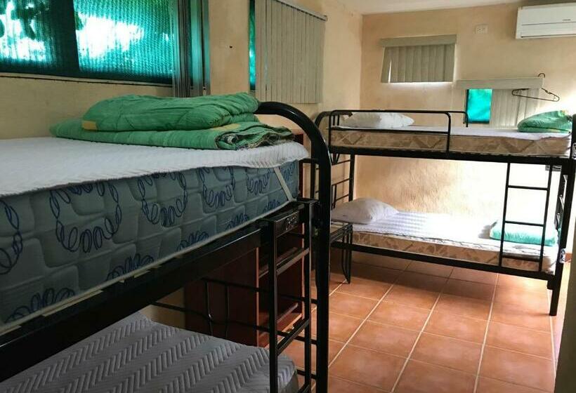 Кровать в Общей Комнате, La Palapa Hut Nature Hostel