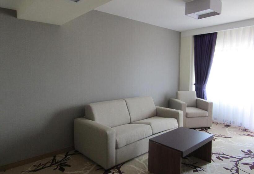 سوئیت 2 خوابه, New Belvedere