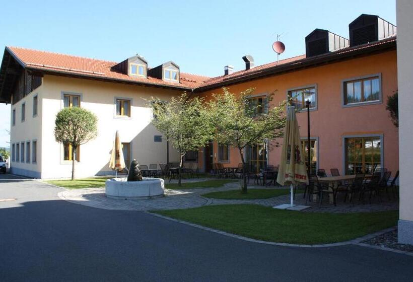 Номер Стандарт, Witikohof