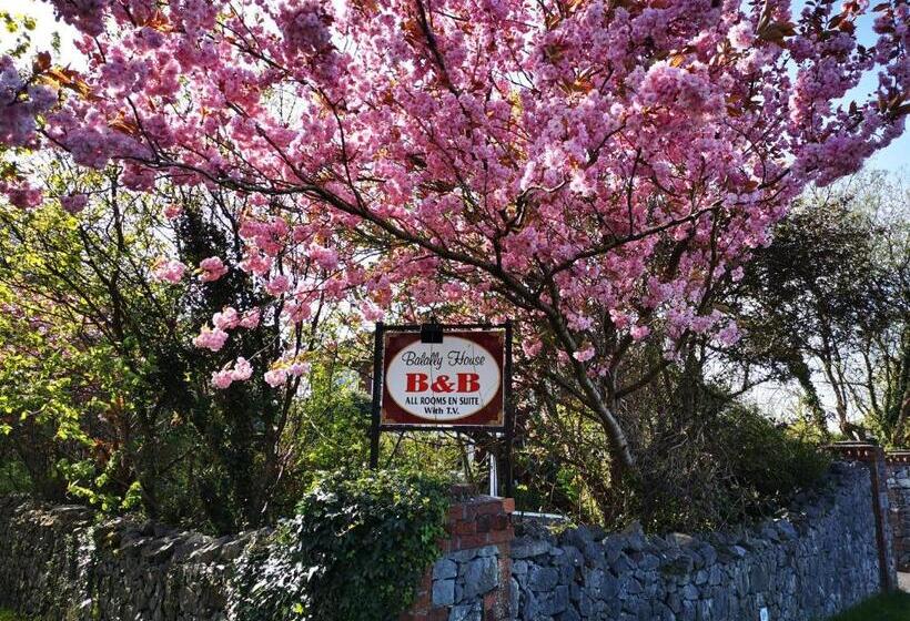 חדר סטנדרט, Balally House