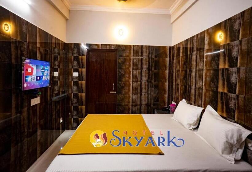 高级大房间, Skyark