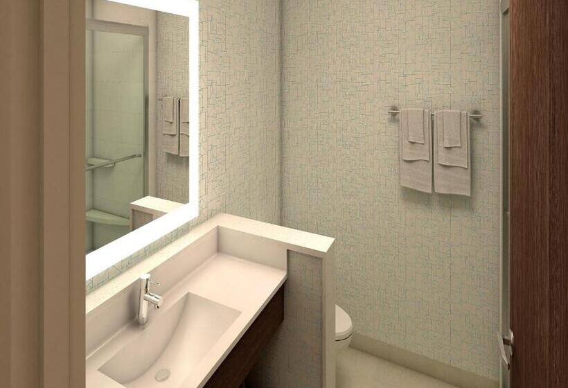 장애인을 위한 킹사이즈 침대 스탠다드 룸, Holiday Inn Express & Suites   Gettysburg, An Ihg