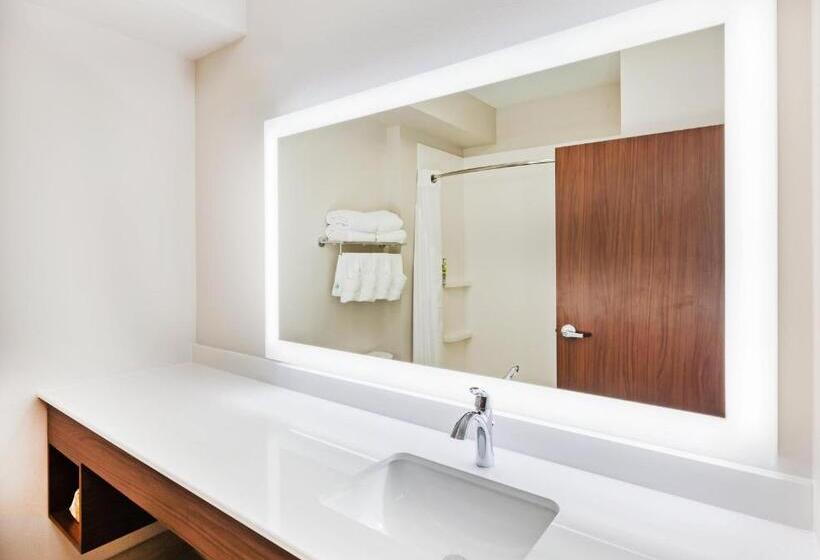 اتاق استاندارد, Holiday Inn Express & Suites   Lenexa   Overland Park Area, An Ihg