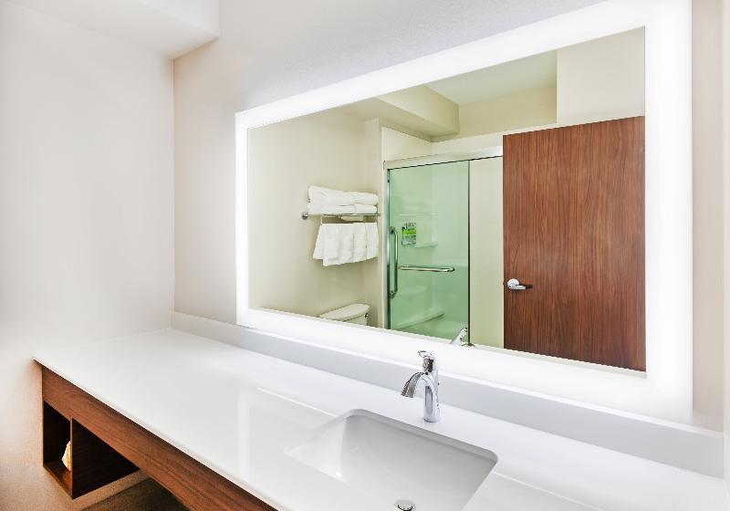 اتاق استاندارد, Holiday Inn Express & Suites   Lenexa   Overland Park Area, An Ihg