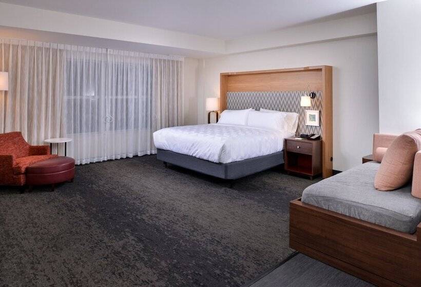 Люкс Адаптированный для Инвалидов, Holiday Inn & Suites   Farmington Hills   Detroit Nw, An Ihg
