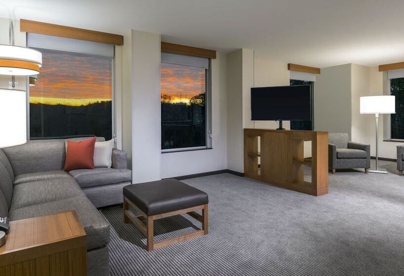 스위트, Hyatt Place Marlborough/apex Center