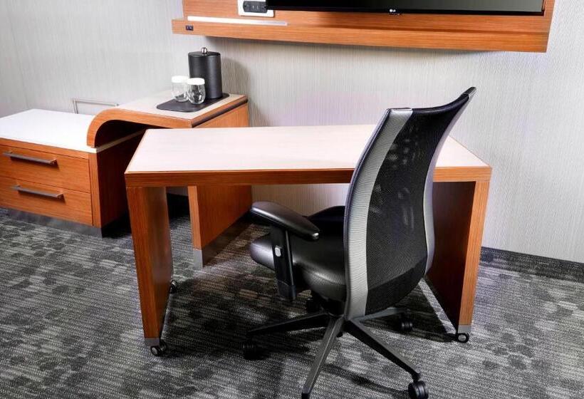 スタンダードルーム, Courtyard By Marriott Houston Intercontinental Airport