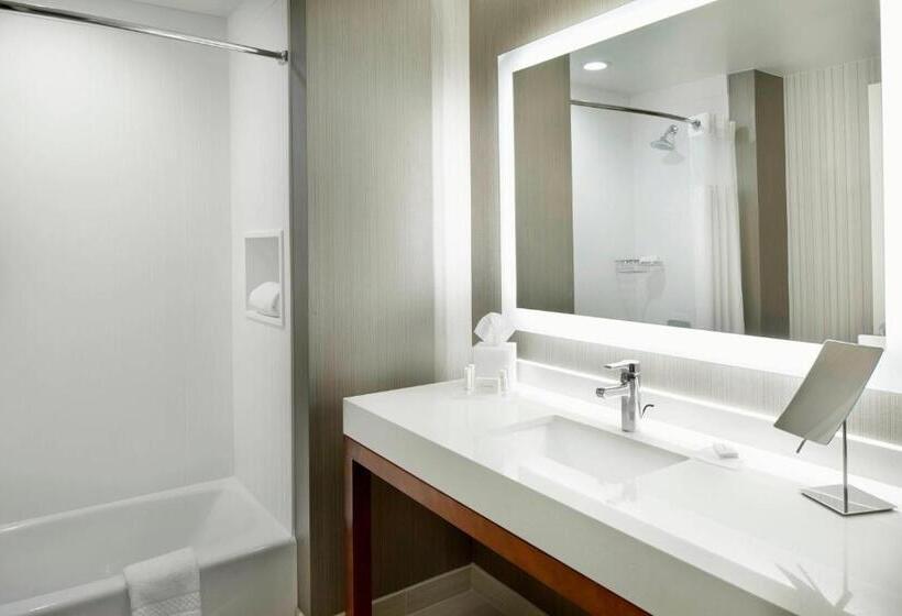 Deluxe-huone, Courtyard By Marriott Houston Intercontinental Airport