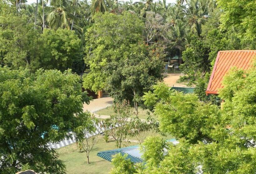Семейный Номер, The Grand Yala