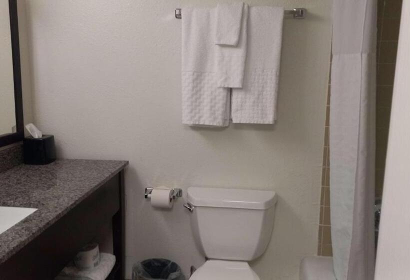 Люкс с Балконом, Best Western Downtown Casper