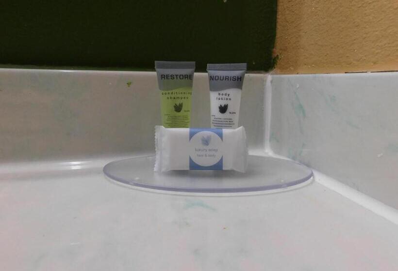חדר סטנדרט עם מיטת קינג, Regency Inn & Suites Beaumont