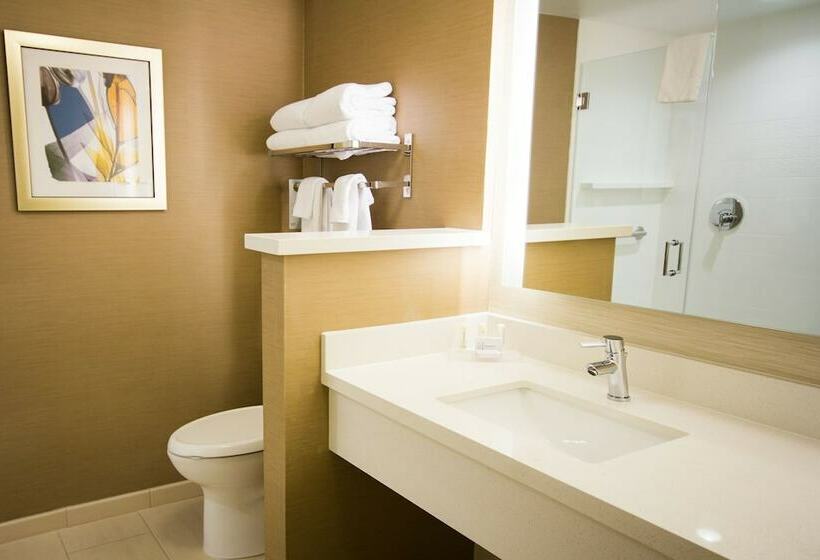 Люкс, Fairfield Inn & Suites By Marriott Denver Northeast/brighton