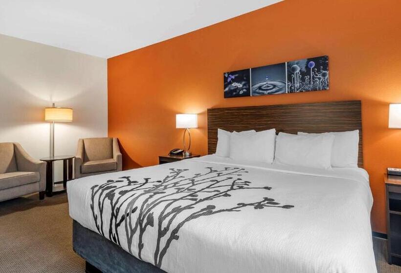 Стандартный Номер Кровать Кинг, Sleep Inn & Suites Moab Near Arches National Park