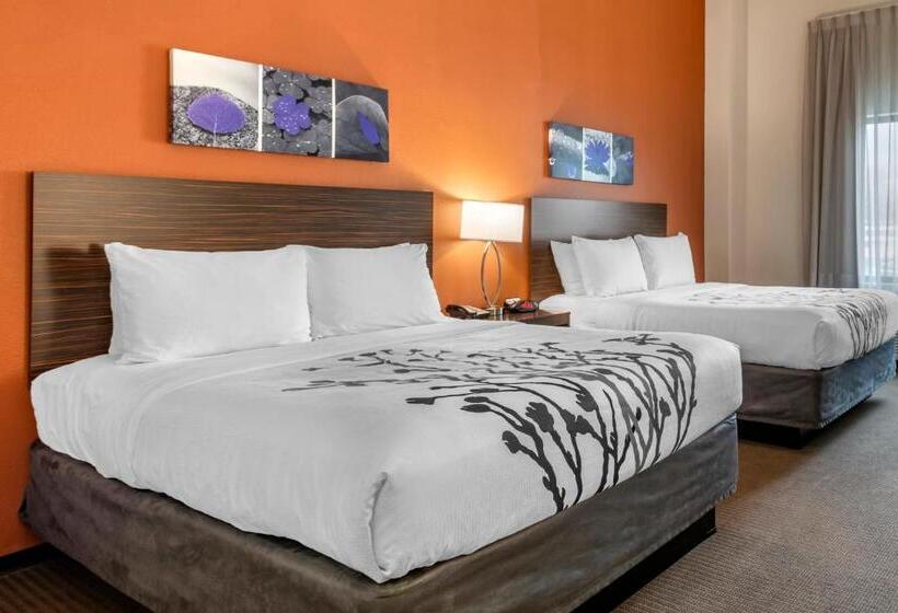 Номер Стандарт Адаптированный для Инвалидов, Sleep Inn & Suites Moab Near Arches National Park