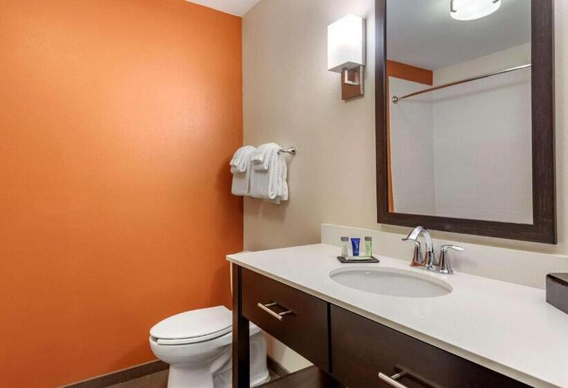 Номер Стандарт Адаптированный для Инвалидов, Sleep Inn & Suites Moab Near Arches National Park