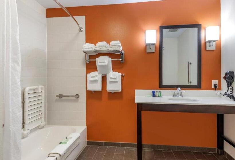 Люкс Адаптированный для Инвалидов, Sleep Inn & Suites Moab Near Arches National Park