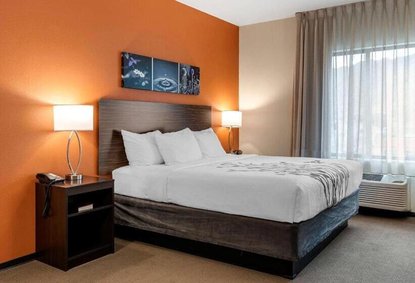 Люкс Адаптированный для Инвалидов, Sleep Inn & Suites Moab Near Arches National Park