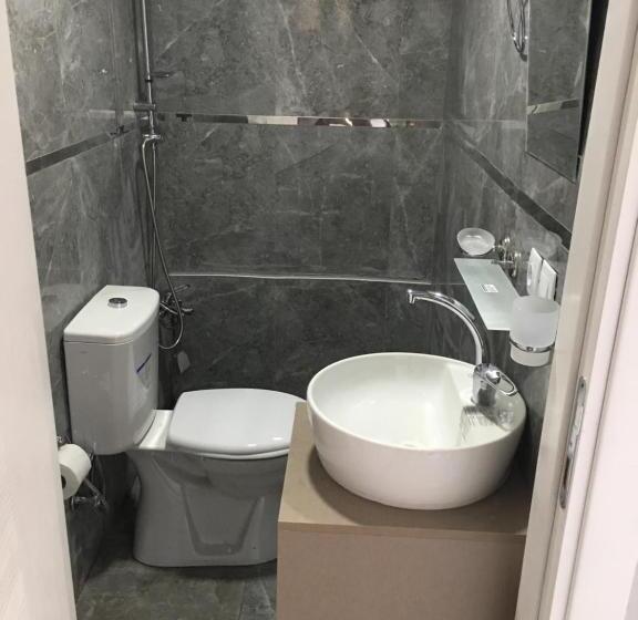 اتاق اکونومی یک تخته, Asus Palmiye Otel