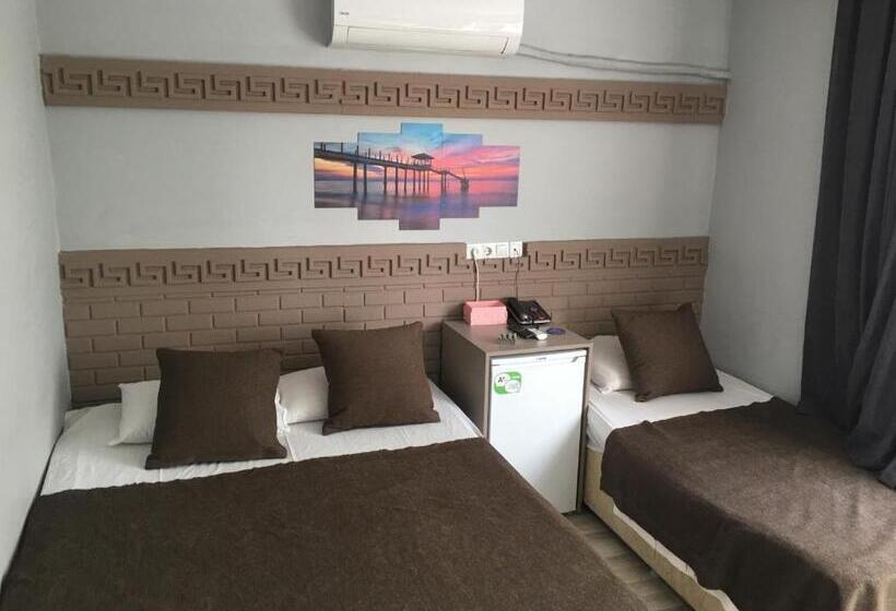اتاق استاندارد سه تخته با چشم‌انداز باغ, Asus Palmiye Otel